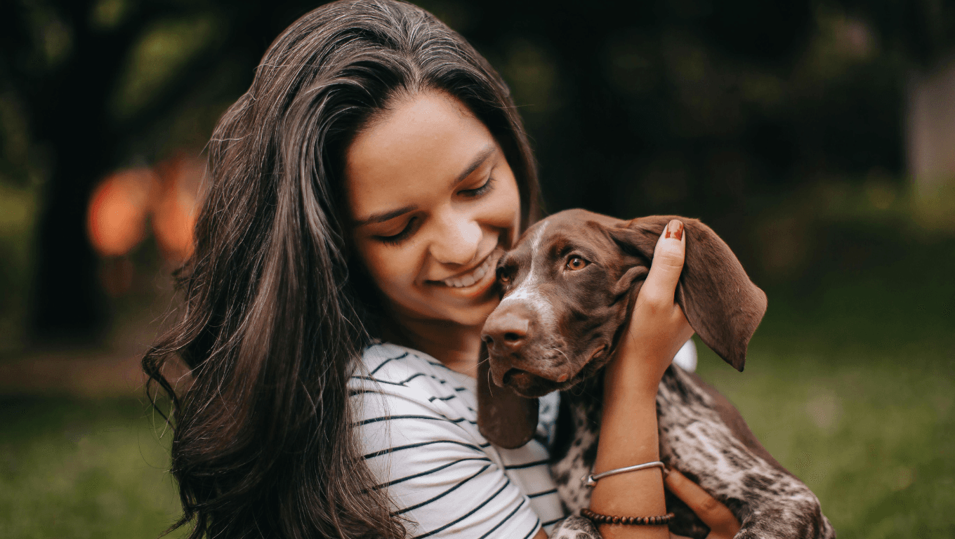 A dog being cared for